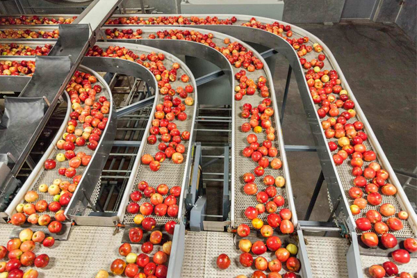 Food-Processing